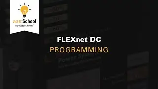 FLEXnet DC: Программирование