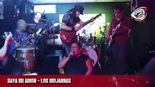 Los Mojarras - Saya mi Amor