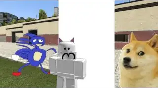 [GMOD/ GARRYS MOD] Sanic And Doge And... MY NEW AVATAR SANIC!