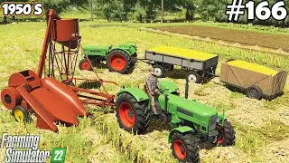 1950'S. CORN HARVEST with the new combine harvester. Farming simulator 22. FS 22. Timelapse. Ep. 166