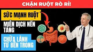 Sức Khỏe Đường Ruột: Hội Chứng Rò Rỉ Ruột Là Gì Và Tại Sao Bạn Nên Quan Tâm?