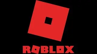 The Roblox Experience