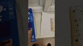 Ryu Tries New Frosted Grape Poptarts
