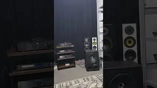 Vestlyd V12C diffusori Vs Moon Audio 250i integrato