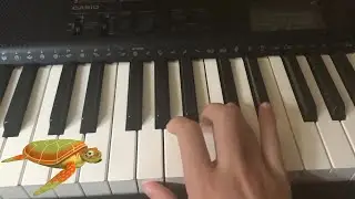 Turtle song persian language cover