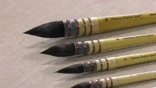 Shout-Out - Creative Mark Harmony Squirrel Quill Brushes #1