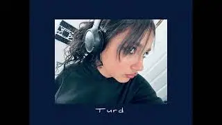 The Turd song