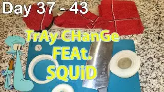 Day 37 - 43 Tray Change Feat. Squid