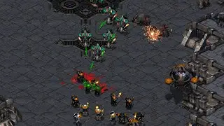 Hydra Defiler ZvT! - Starcraft Broodwar