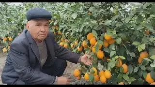 Меҳмонимиз Хазорасп туманидан / Тел: +99 893 476 40 20