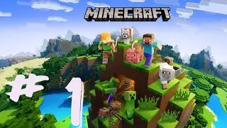 FRANCESCO RACCONTA MINECRAFT