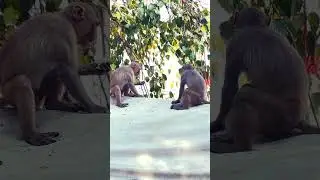 Очень жаркий денек в Варанаси #travelindia #travel
