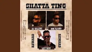 Shatta Ting
