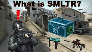 What is SMLTR?