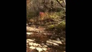 Nerstrand State Park Autumn 2011
