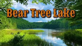 Looking for Bigfoot at Bear Tree Lake