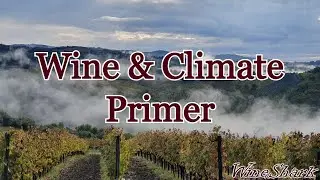 WineShark Wednesday: Wine & Climate Primer + Relax Riesling