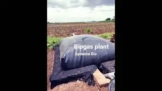 Biogas Plant by Govind Milk & Systema Bio #biogasplant #agriculturetechnology #farmerlife
