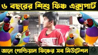 ৬ বছরে বিস্ময় বালক নাফি জানে গোল্ডিয়ানের সব মিউটেশন?