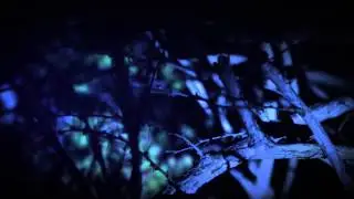 NYMF - Lucifer Takes The Crown [Official Video]