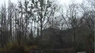 08.MP4 shitwetter