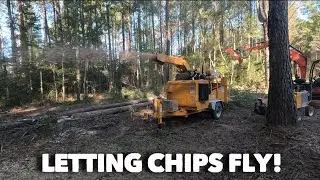 Whole tree chipping with a Bandit 15xp