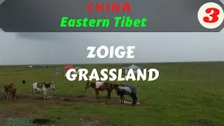 CHINA-Eastern Tibet: Zoige Grassland