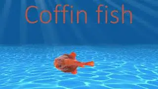 coffin fish