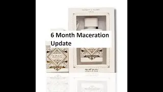 6 Month Maceration Update on Bade'e Al Oud Honor and Glory by Lattafa | Fragrances #252