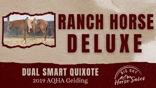 DUAL SMART QUIXOTE-