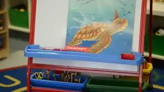 Primary Teaching Easel