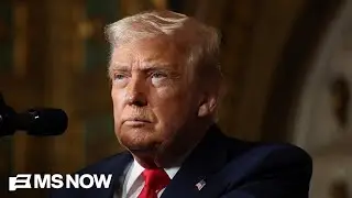 'Time for ruthlessness': Journalist breaks down what Dem candidates need to do to combat Trump