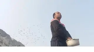 Bahi char pach har har lapata  char pacha mint 