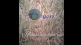 Argaiv Adesso o mai pi&ugrave; Regina