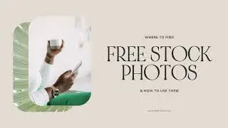Where to Find Free Stock Photos and How to Use Stock Images
