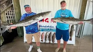 Cobia of a Lifetime and Gag Grouper out of Steinhatchee, FL!!
