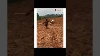 kid's special HD Video