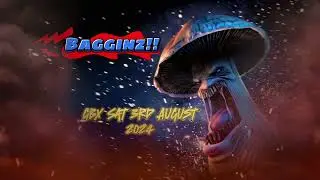 GBX Sat 3rd Aug 2024