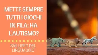 Mette tutti i giochi in fila: ha l'autismo?