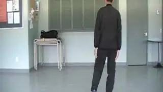 TaiChi 8 movements music back - front.MOD