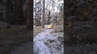 A cold walk 🥶 #nature #winter #pov #foryou #sweden #snow #freezing #forest #hiking #walk #trail