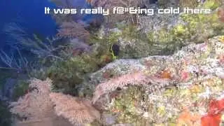 Ascending from the 400' ledge, Ant Atoll Pohnpei, FSM