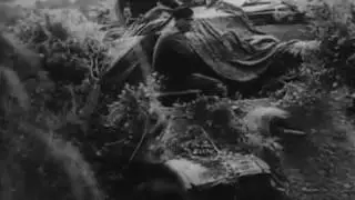German Panther Tanks in Normandy