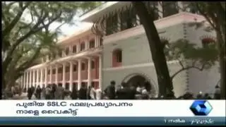 Crime Branch: Star Tortoises Seized In Kochi Airport | 23rd April 2015 | Part 2