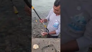 شرح بسيط لصيد السيجان