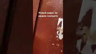 #рекомендации #домофон #музыка #актив #домофония