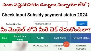 how to check input subsidy in ap 2024 || ap input subsidy 2024 status #connectingchandra.