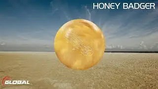 900 Global Honey Badger bowling ball review