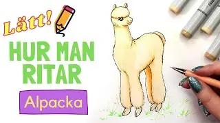 Hur man ritar en alpacka – Lätt lär dig teckna-video med svenska röstinstruktioner!