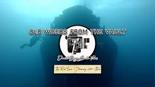 Old Videos From The Vault: Scuba Diving - Egypt - January 2017 - Part Three